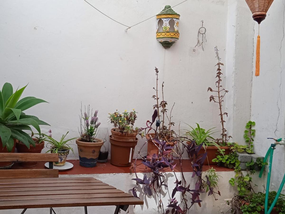 Appartement Selva La Bella. En El Corazon De Triana Sevilla